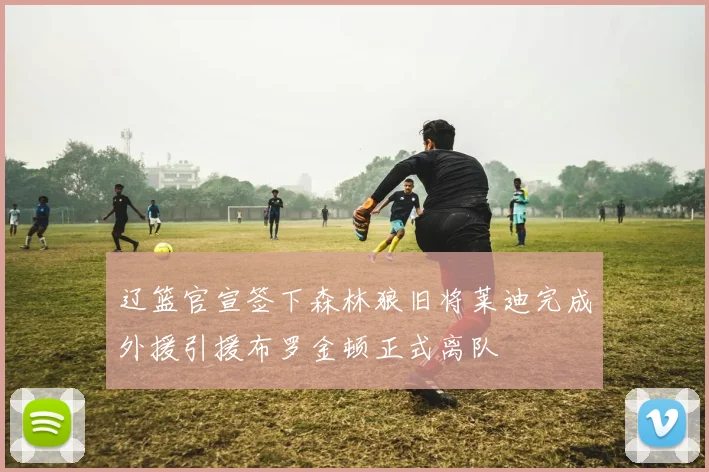 辽篮官宣签下森林狼旧将莱迪完成外援引援布罗金顿正式离队