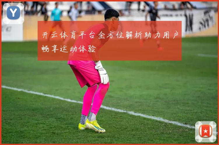 开云体育平台全方位解析助力用户畅享运动体验